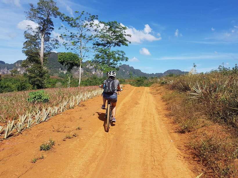 Krabi: Eco-Cycling Tour with Nature, Culture, and Fun - My call: book it for the ride, confirm it for the pools