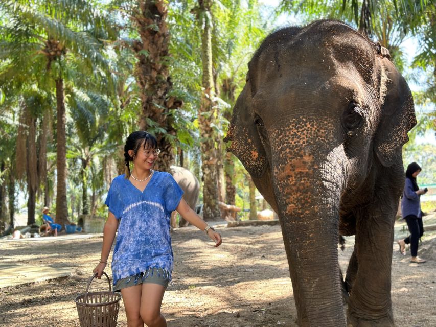 Krabi: Elephant Bathing Session at Krabi Elephant Shelter - Key points to know before you book
