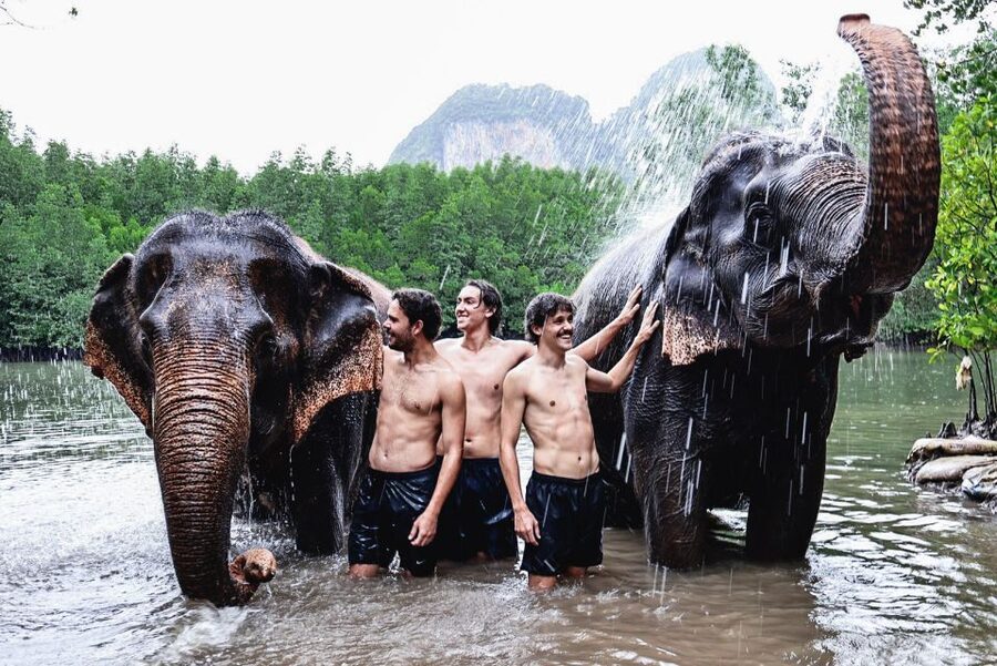 Krabi: Elephant Bathing Session at Krabi Elephant Shelter - What the staff add to the experience