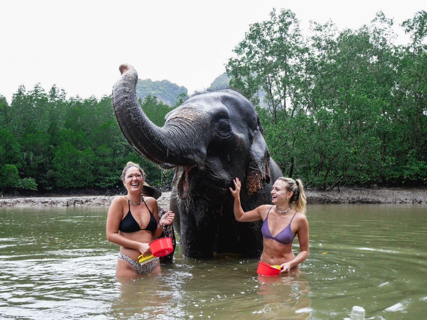 Krabi: Elephant Bathing Session at Krabi Elephant Shelter - Is $48 good value?