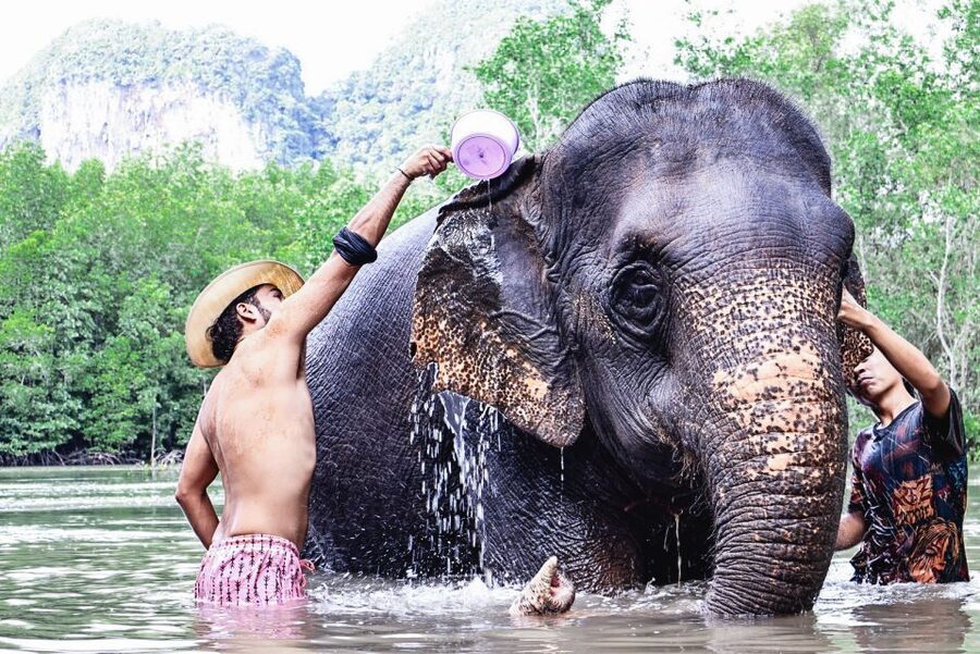 Krabi: Elephant Bathing Session at Krabi Elephant Shelter - Practical clothing and packing advice