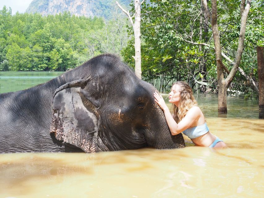 Krabi: Elephant Bathing Session at Krabi Elephant Shelter - Should you book the Krabi Elephant Shelter?
