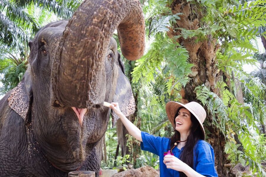 Krabi: Elephant Bathing Session at Krabi Elephant Shelter - Bathing and showering in the tropical setting