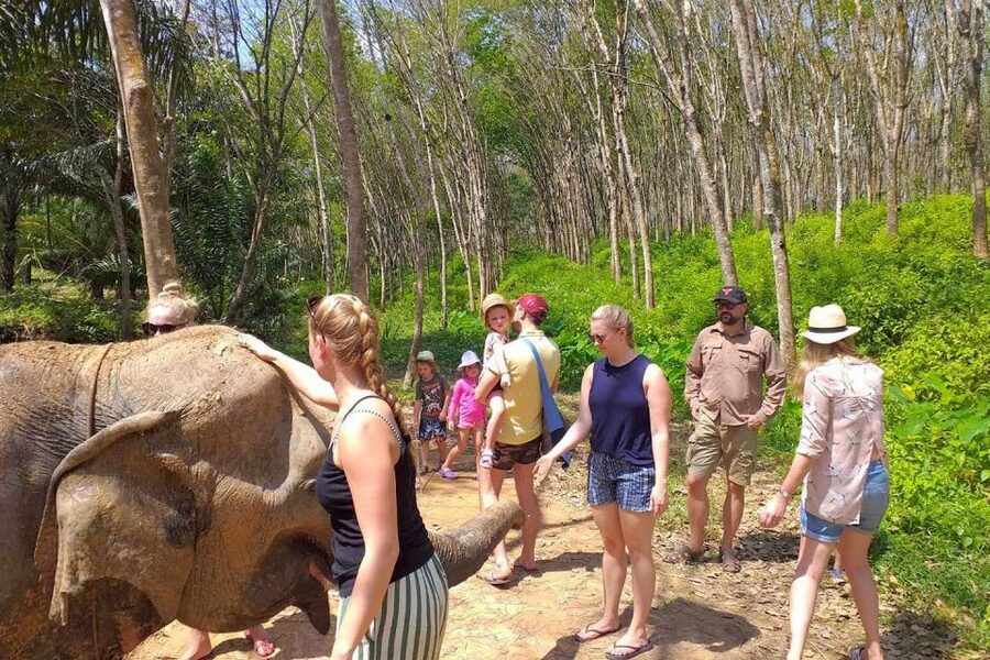 Krabi: Elephant Care House Guided Tour with Hotel Transfers - Key points to know before booking