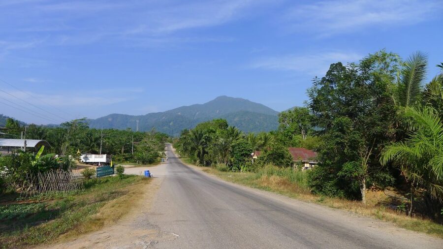 Krabi: Elephant Care House Guided Tour with Hotel Transfers - Pickup from Krabi, Ao Nang, and the beaches