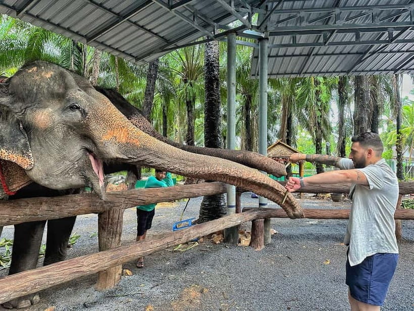 Krabi: Elephant Feeding Program with Food Preparation - Preparing fruit and vegetables for the elephants