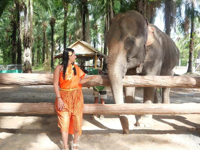 Krabi: Elephant Feeding Program with Traditional Thai Dress - What the 30-minute visit actually feels like