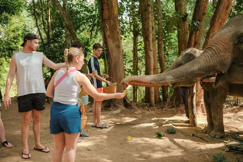 Krabi: Elephant Sanctuary (near Ao Nang) Visit - Key points at a glance