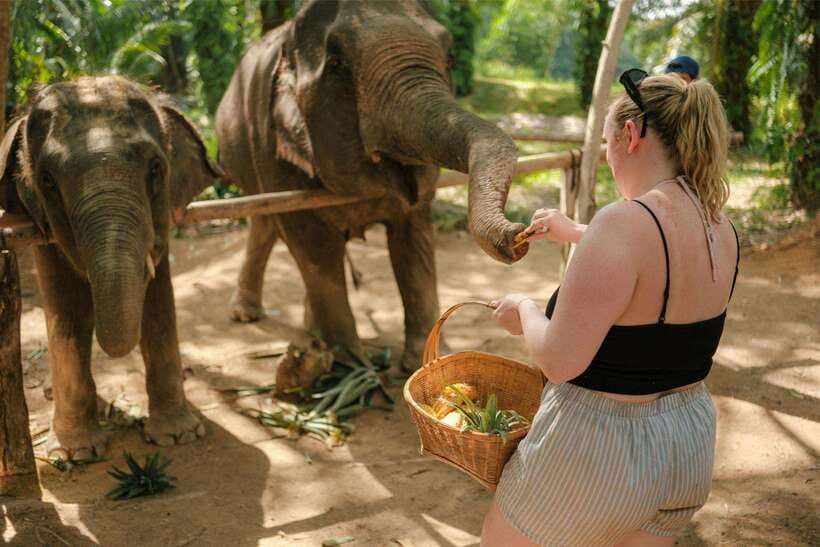 Krabi: Elephant Sanctuary (near Ao Nang) Visit - A quiet break with fruit, coffee, and water
