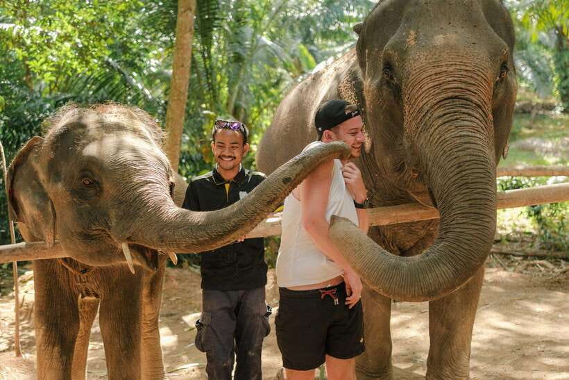 Krabi: Elephant Sanctuary (near Ao Nang) Visit - Meeting the elephants and their carers