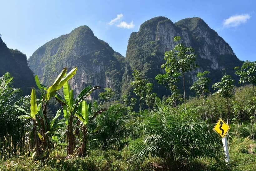 Krabi: Emerald Cool-Down & Kayak Odyssey in Din Daeng Canyon - Who should book this Krabi kayak tour?