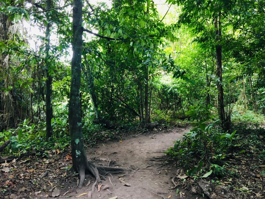 Krabi: Emerald Pool and Hot Springs Waterfall Half-Day Trip - Key points to know before booking
