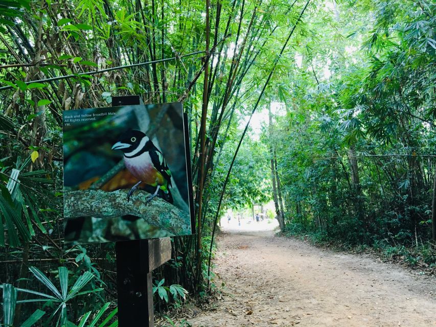Krabi: Emerald Pool and Hot Springs Waterfall Half-Day Trip - Booking details that matter