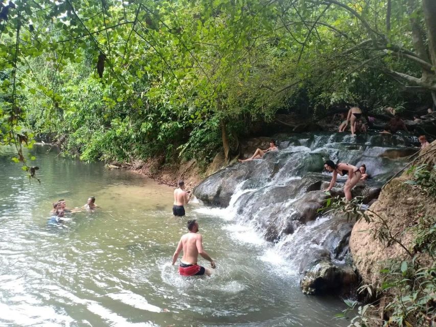Krabi: Emerald Pool and Hot Springs Waterfall Half-Day Trip - What this Krabi rainforest trip is really like