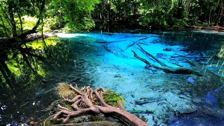Krabi: Emerald Pool and Hot Springs Waterfall Half-Day Trip - The Emerald Pool and its striking green color