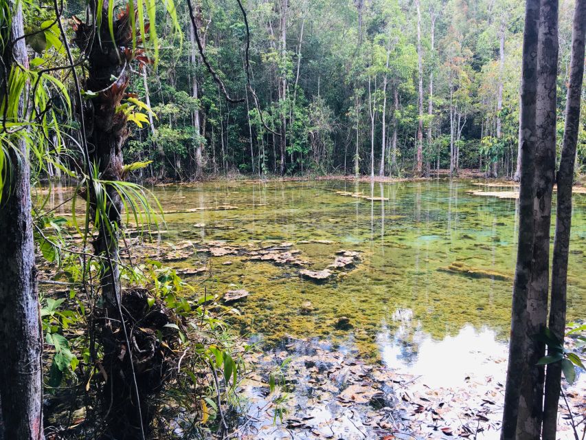Krabi: Emerald Pool and Hot Springs Waterfall Half-Day Trip - Who should book this half-day outing?