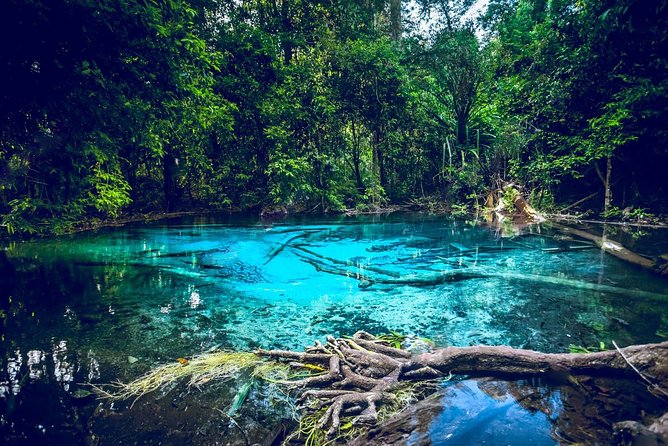 Krabi Emerald Pool, Hot Spring and Tiger Temple - Three Krabi highlights, one long outdoor day