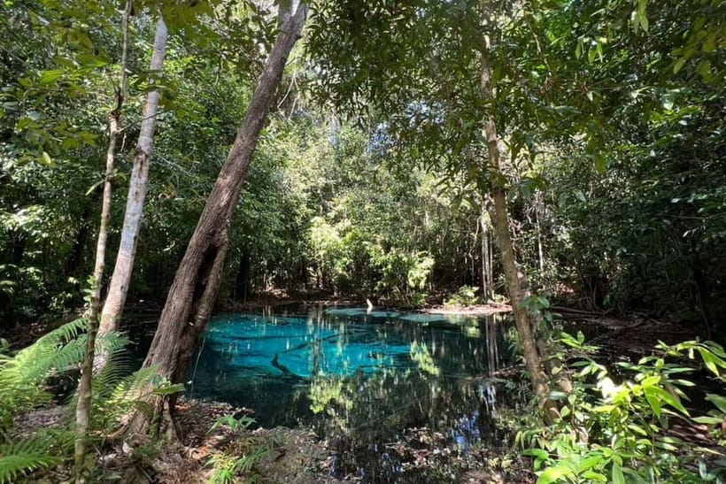 Krabi: Emerald Pool, Hot Springs, and Kayaking Tour - What the guide adds to the day