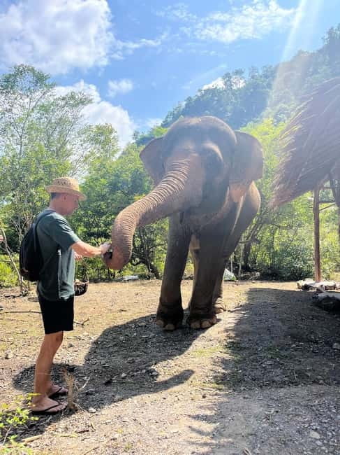 Krabi: Ethical Elephant Sanctuary & Tiger Cave Temple Tour - Tiger Cave Temple and the 1,237-step test