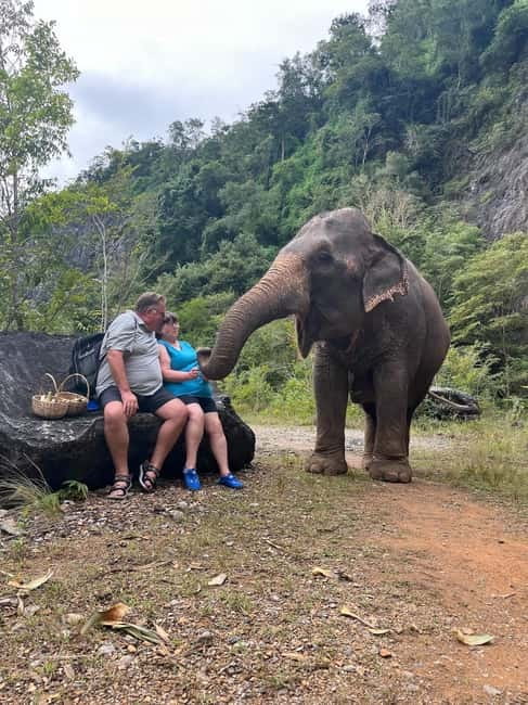 Krabi: Ethical Elephant Sanctuary & Tiger Cave Temple Tour - What the $42 price really includes