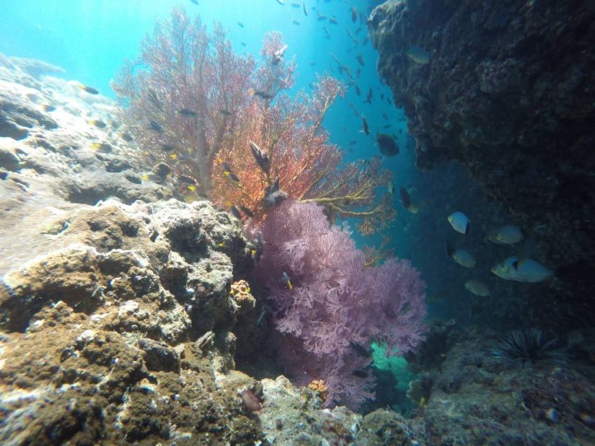 Krabi: Freediving and Snorkeling at Yawasam and Talu Island - Talu Island and the cave at low tide