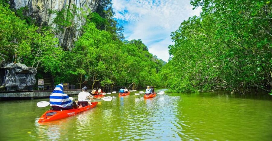 Krabi: Half-Day Bor Thor Mangrove Kayaking Tour - Paddling through the Bor Thor mangroves