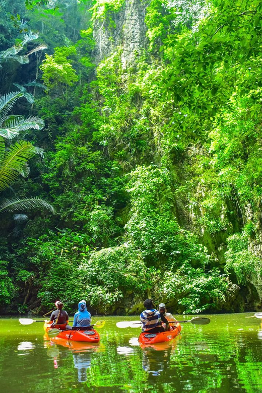 Krabi: Half-Day Bor Thor Mangrove Kayaking Tour - Pee Hua Toh Cave and its ancient paintings