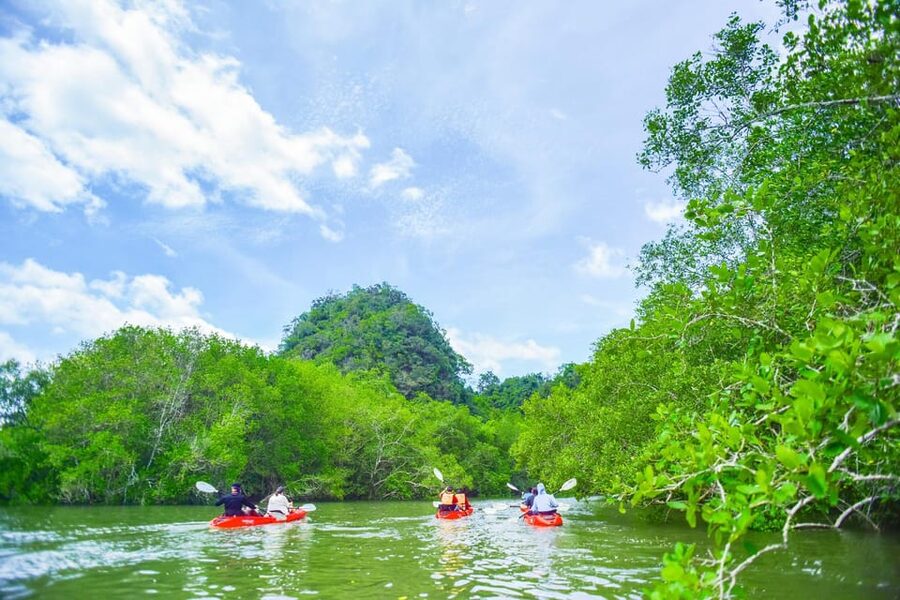 Krabi: Half-Day Bor Thor Mangrove Kayaking Tour - Lunch, fruit, and a short break