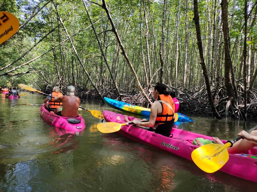 Krabi: Half-Day Kayak Adventure at Ao Thalane - The 30-Minute Transfer from Aonang