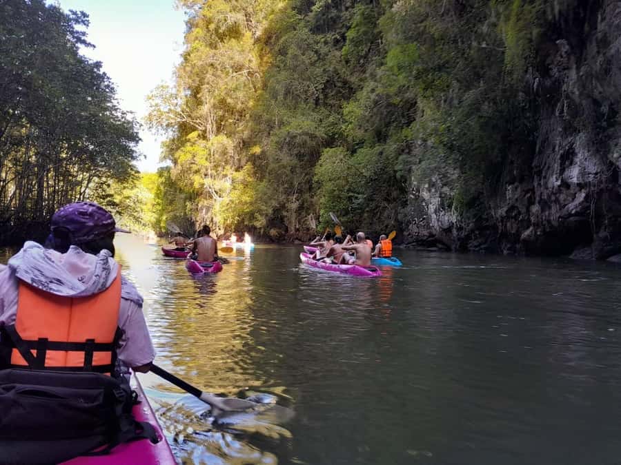 Krabi: Half-Day Kayak Adventure at Ao Thalane - Monkeys, Lizards, Birds, and Blue Crabs