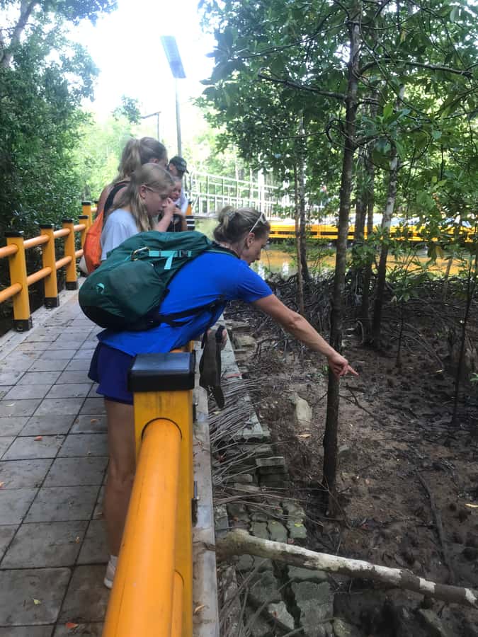 Krabi: Half-Day Mangrove Boat Trip And Khao Khanap Nam Cave - Who will get the most from this outing?
