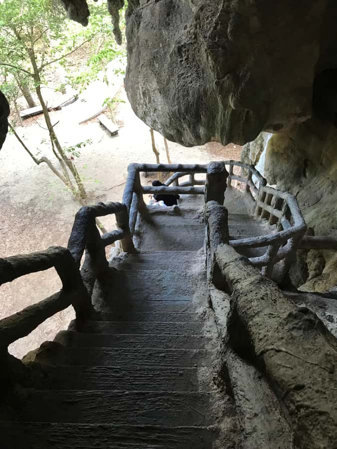 Krabi: Half-Day Mangrove Boat Trip And Khao Khanap Nam Cave - Price, convenience, and the real value