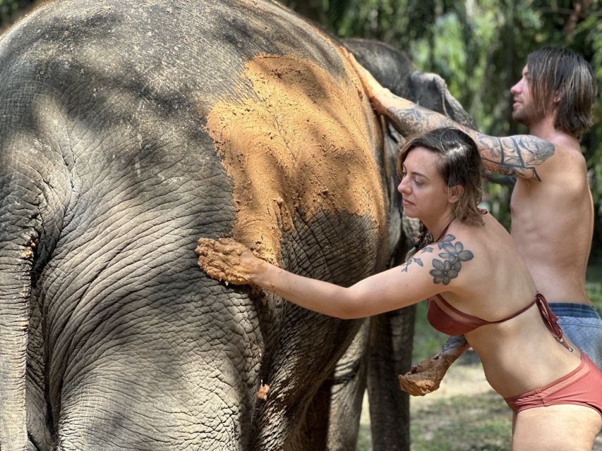 Krabi: Highlights Tour with Krabi Elephant Shelter - A two-hour route from treats to clean water