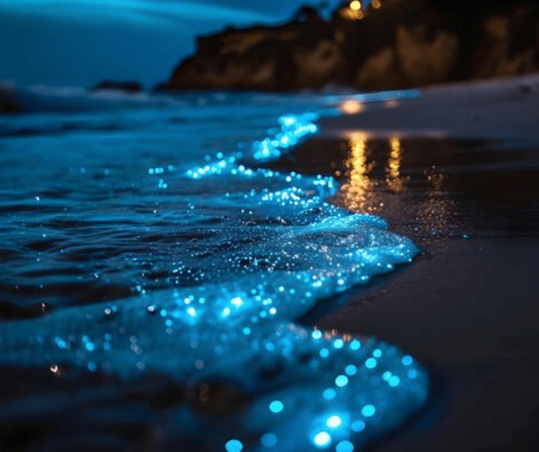 Krabi: Hong Islands Sunset, Bioluminescent Plankton and BBQ - Who will enjoy this trip most?