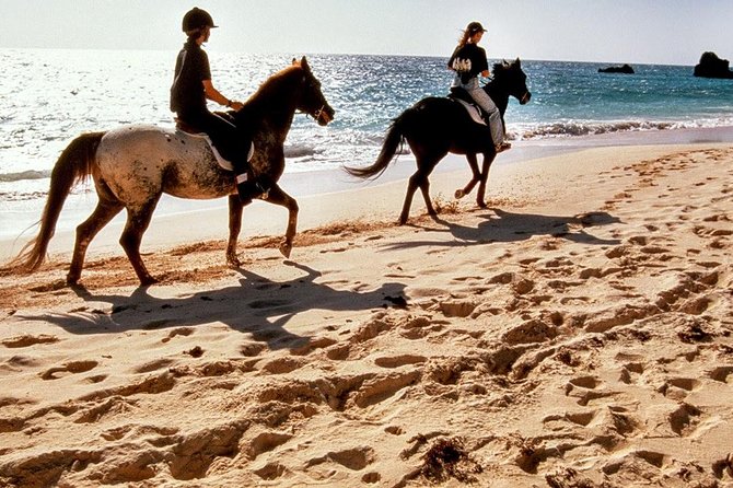 Krabi Horse Riding at Ao Nam Mao Beach - Key points before you saddle up