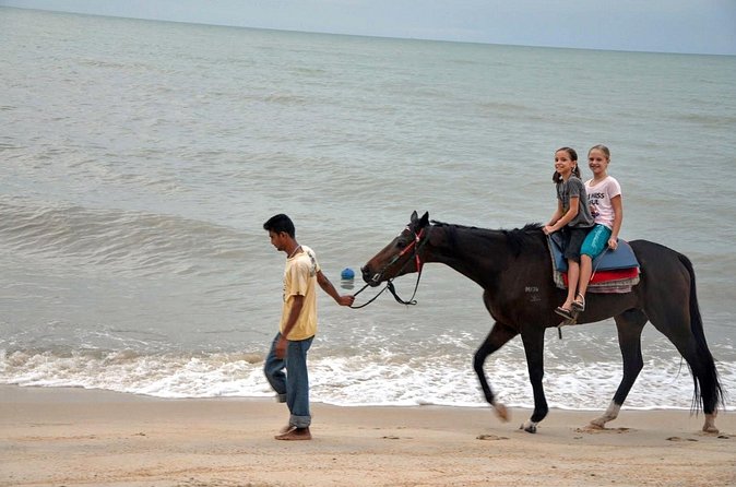 Krabi Horse Riding at Ao Nam Mao Beach - Who should book this ride?