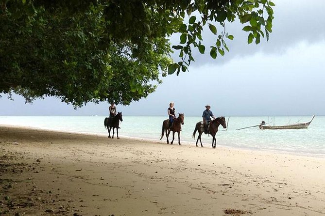 Krabi Horse Riding at The Beach - Pickup from Ao Nang, Ao Nammao, and other areas