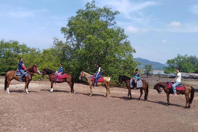 Krabi Horse Riding at The Beach - What the strongest parts of the experience are