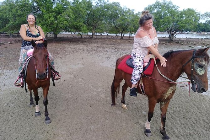 Krabi Horse Riding at The Beach - The drawbacks you should weigh first