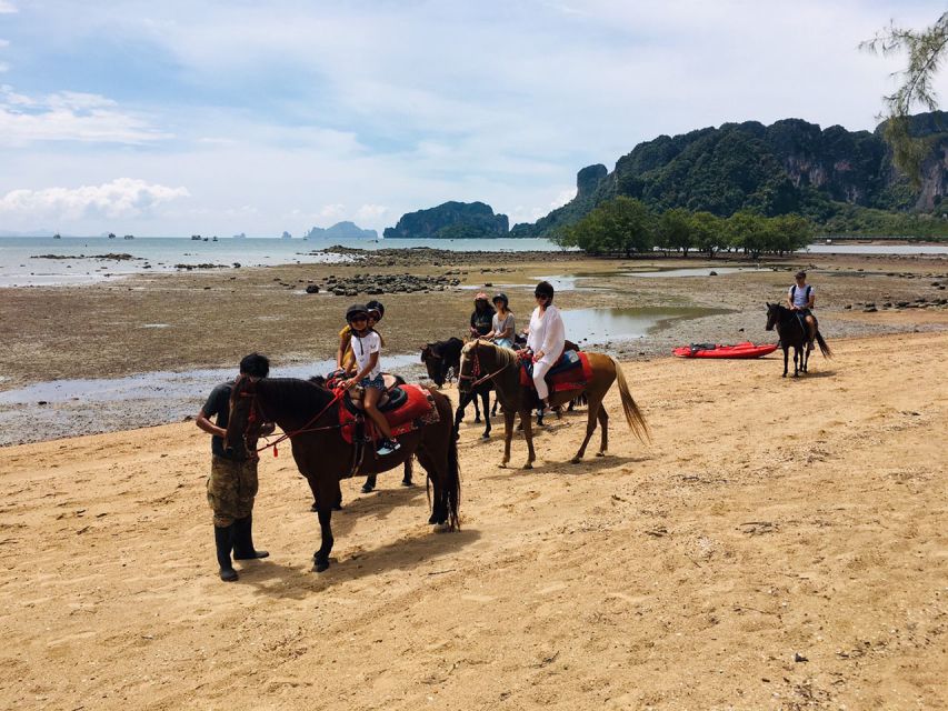 Krabi: Horseback Riding on the Beach - Key points to know before booking
