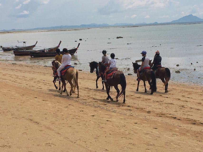 Krabi: Horseback Riding on the Beach - Ban Ao Nam Mao beach and the island views