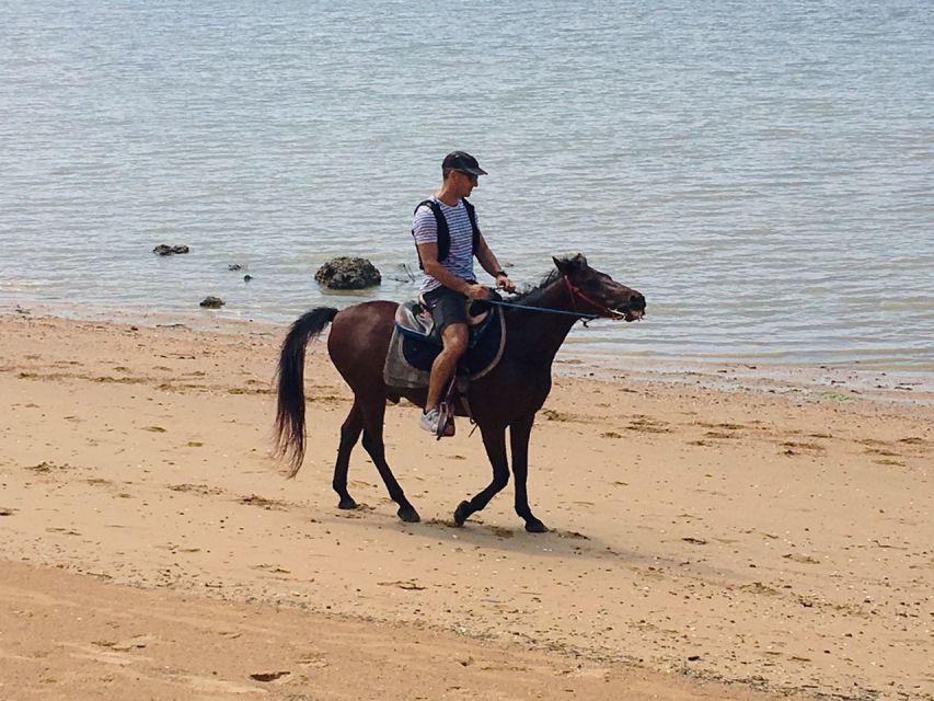 Krabi: Horseback Riding on the Beach - Mosquitoes and practical comfort