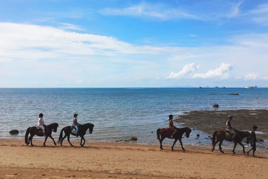 Krabi: Horseback Riding on the Beach - Who will enjoy this Krabi horseback ride?