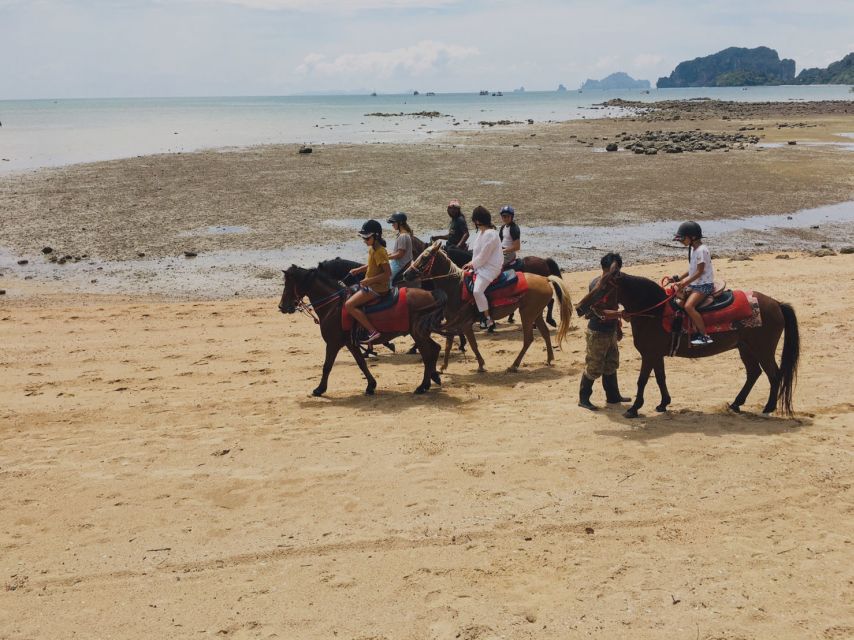 Krabi: Horseback Riding on the Beach - Should you book it?