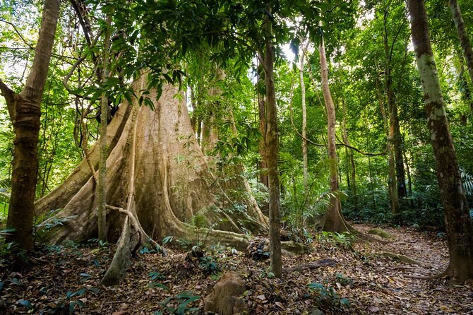 Krabi Jungle Adventure: Emerald Pool, Hot Springs & ATV - Who will enjoy this Krabi combination tour