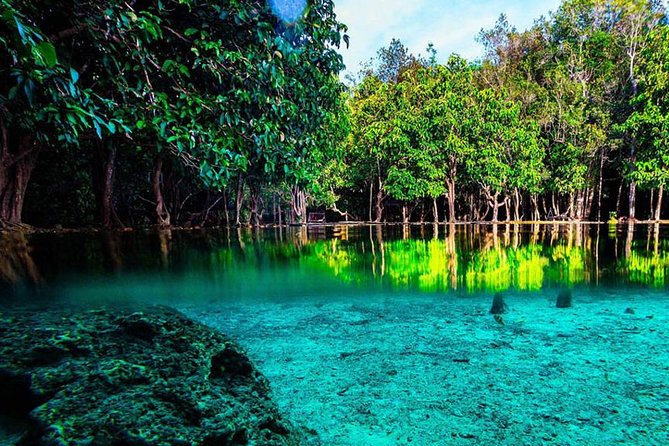 Krabi Jungle Tour with ATV Riding - A jungle day built around water, walking, and wheels