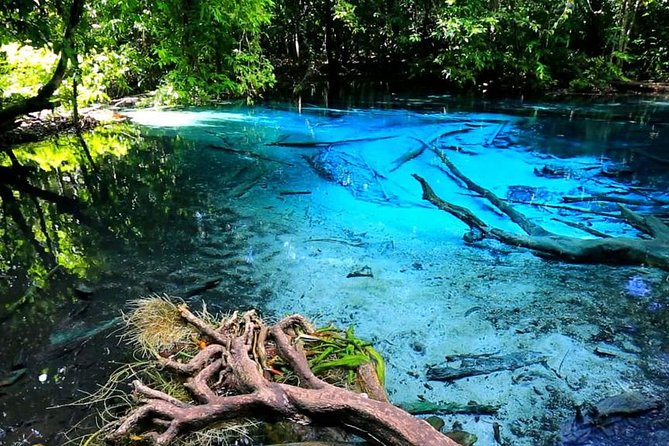 Krabi Jungle Tour with ATV Riding - Walking to Emerald Pool through the rainforest