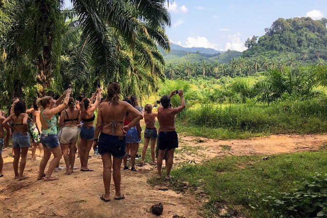 Krabi: Jurassic Jungle Kayak and Phra Nang Cave Beach Tour - Paddling beneath Klong Root’s jungle canopy