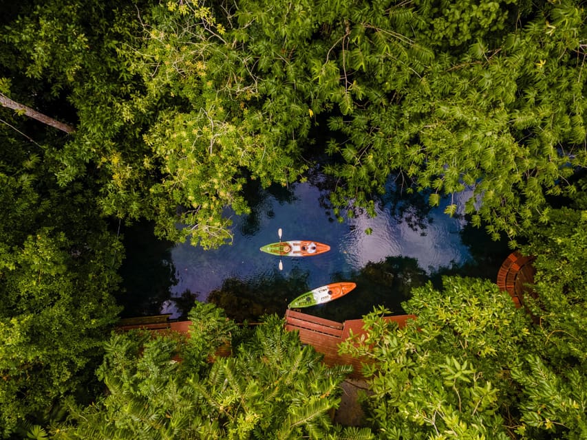 Krabi: Kayak Adventure through Ao Thalane Mangrove Forest - Is $38 good value?