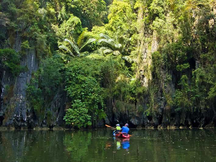 Krabi: Kayak Adventure through Ao Thalane Mangrove Forest - Through the mangroves, roots, and quiet lagoons